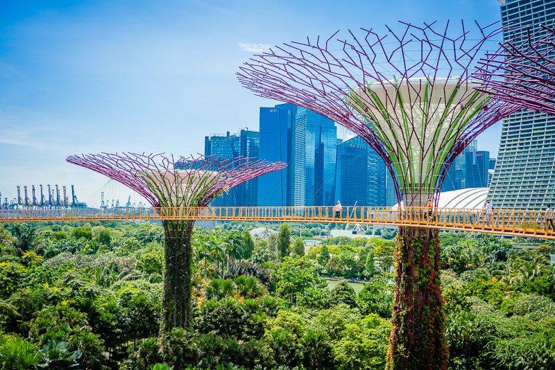 Gardens By The Bay Singapur 037