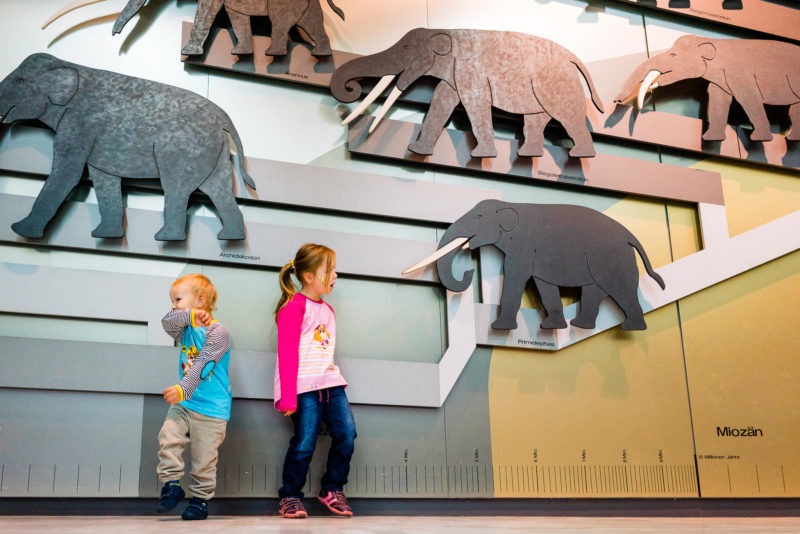 Senckenberg Museum mit Kindern 081