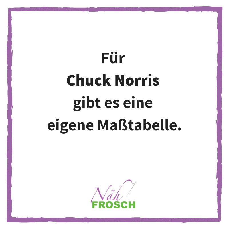 Naehfrosch-ChuckNorris-10