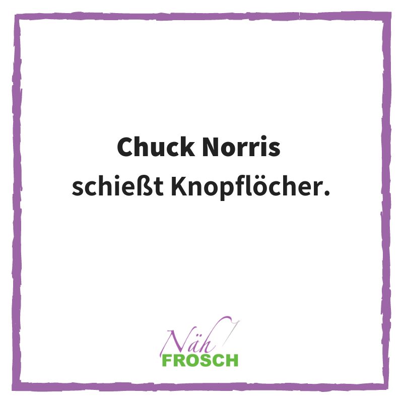 Naehfrosch-ChuckNorris-2