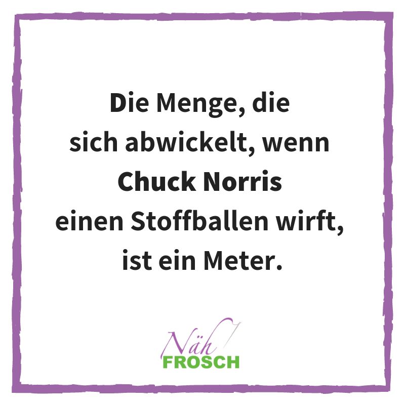 Naehfrosch-ChuckNorris-7