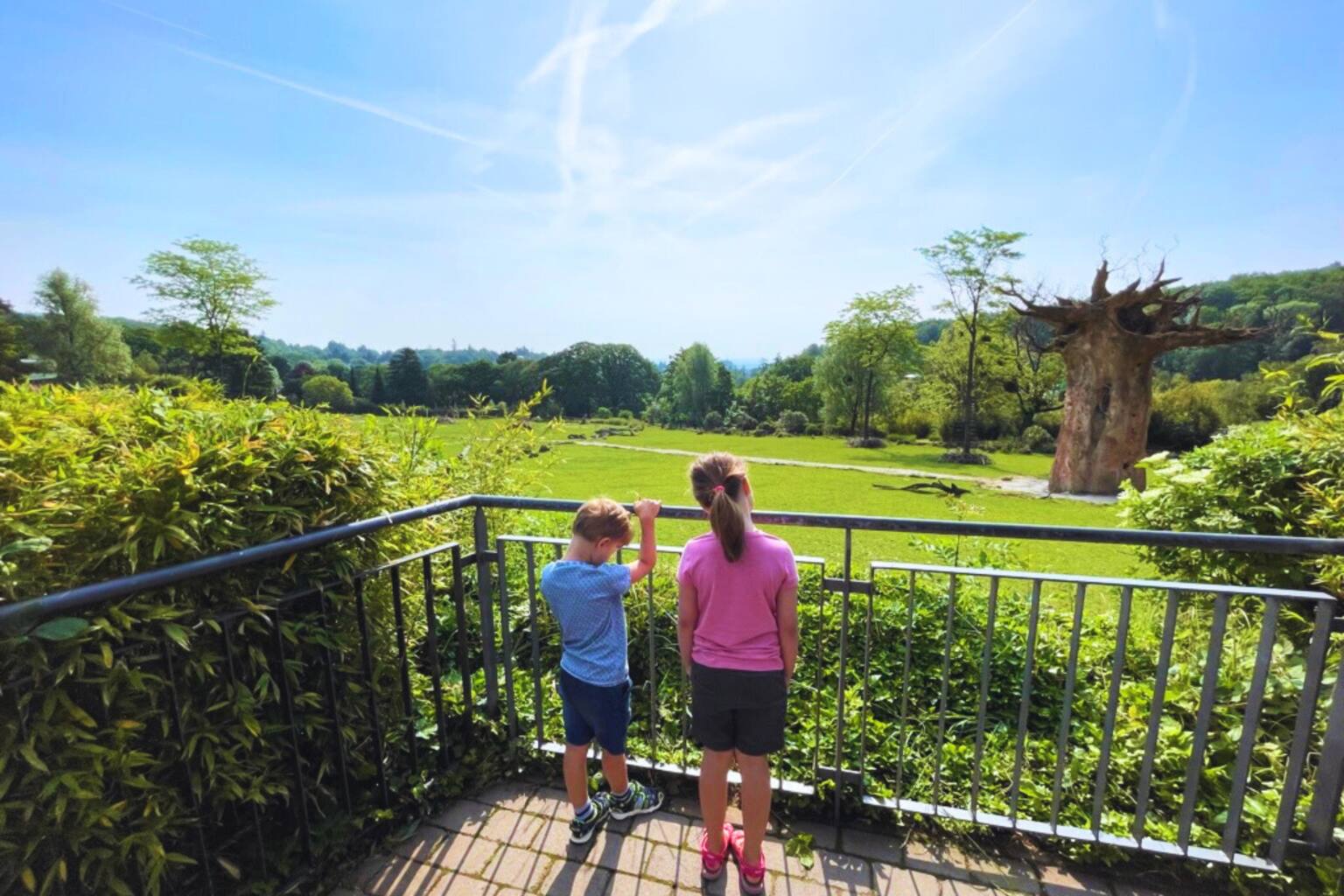 Erstaunlich Ausflug Mit Kindern Hessen Fotos
